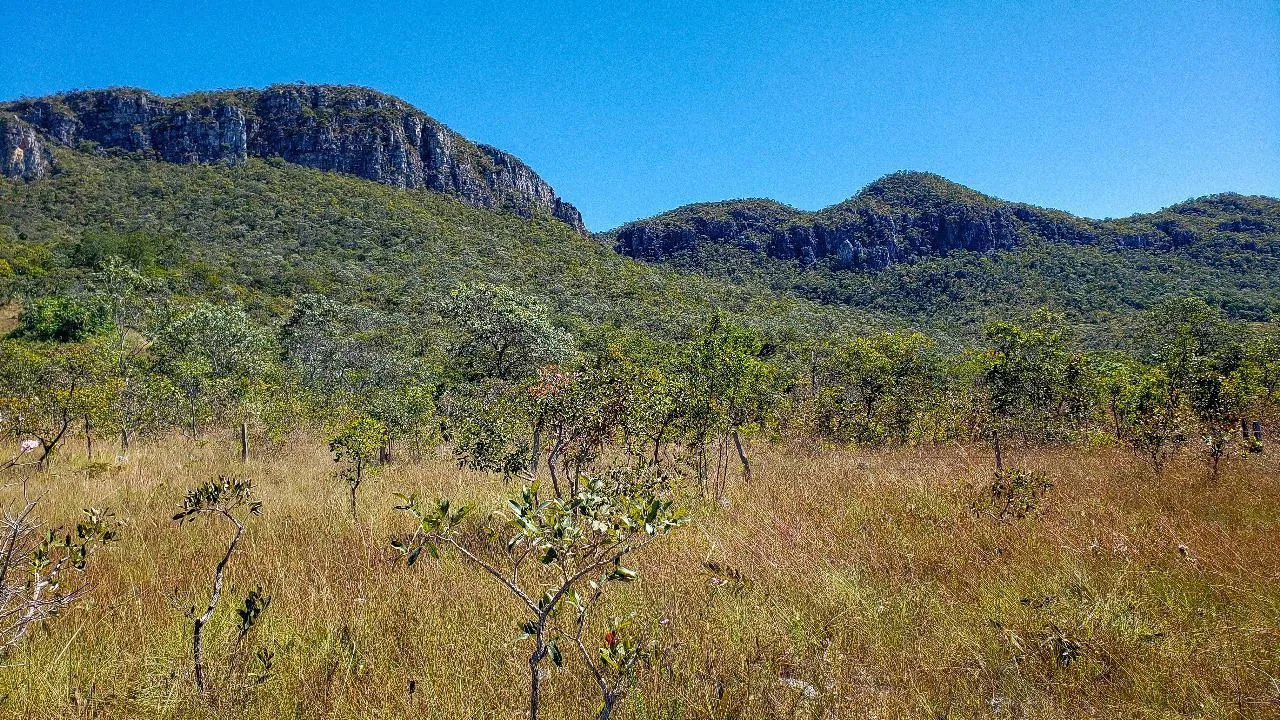 Entorno natural do terreno em Cavalcante, na Chapada dos Veadeiros